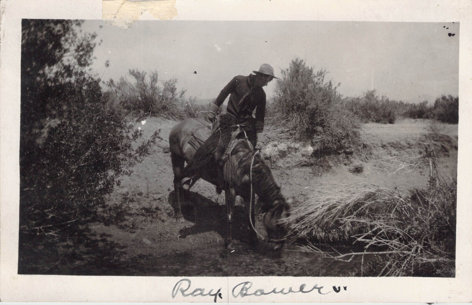 Antique RPPC Western Cowboy on Horse Stream Churchill County Nevada Desert 