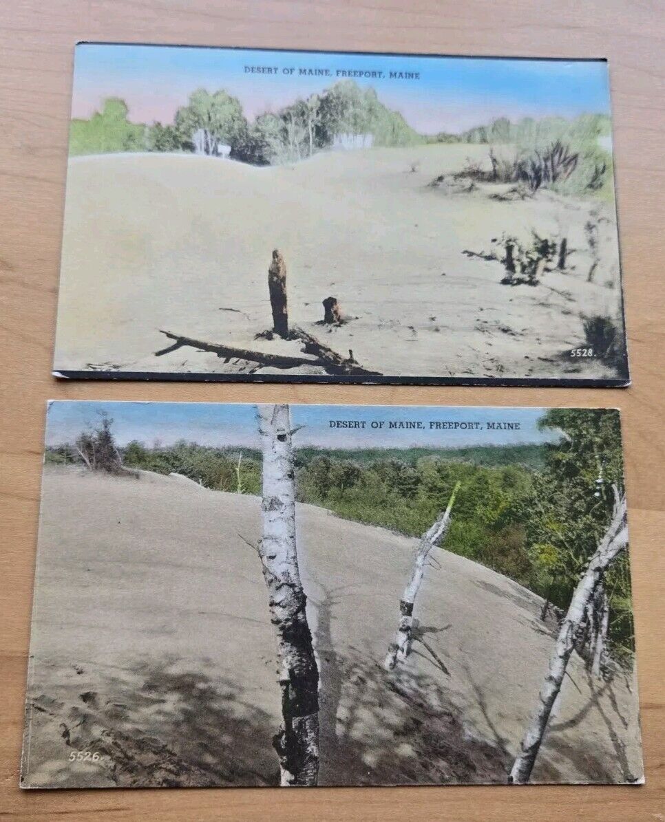 Lot Of 2 Desert Of Maine Freeport ME Handcolored Postcards