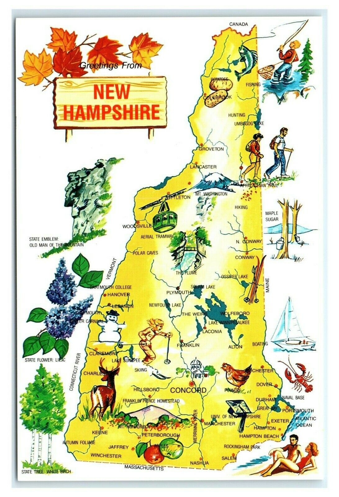 Postcard Greetings from New Hampshire map nickname pop. NH311