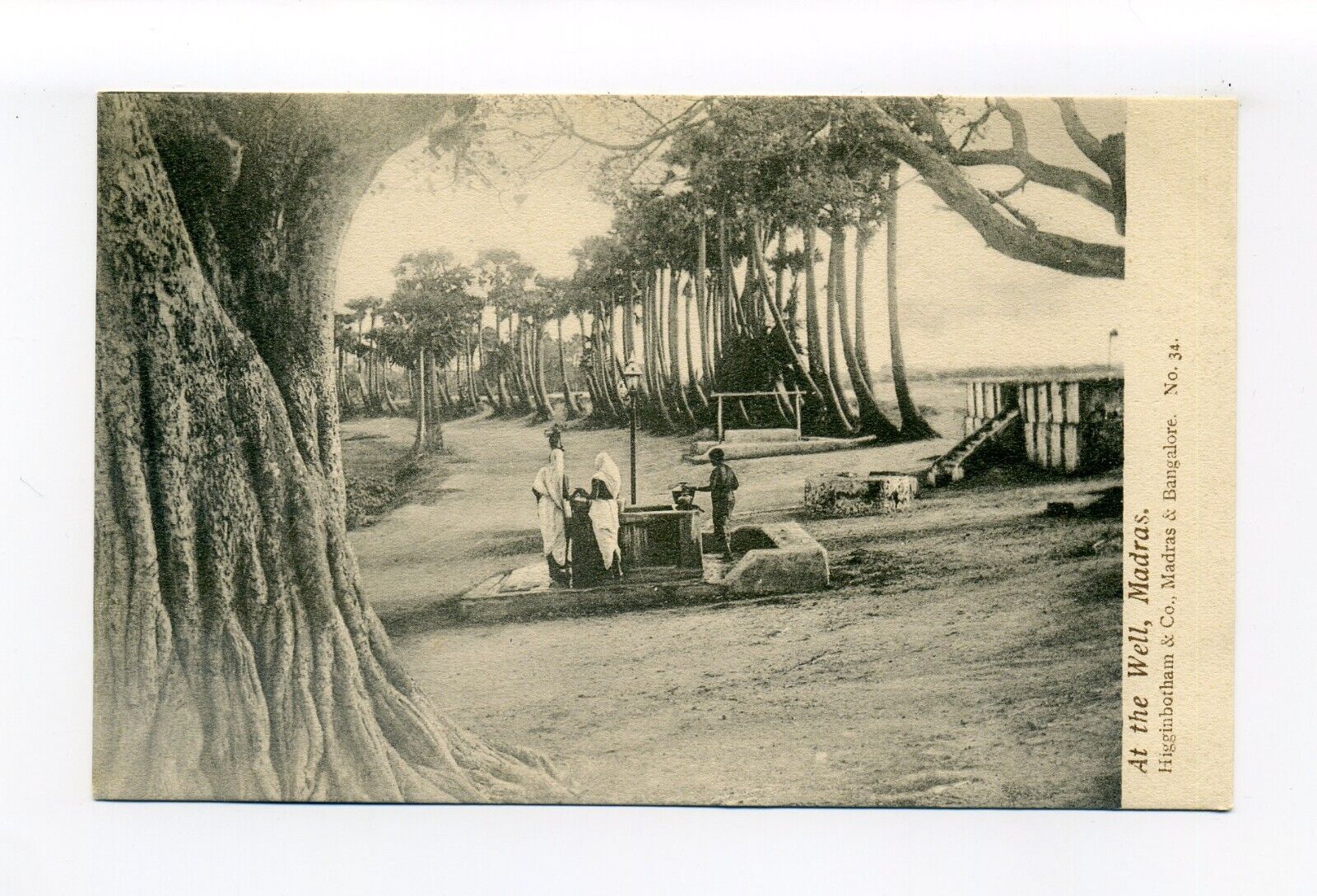 India, Chennai postcard, people at the well, tree lined street
