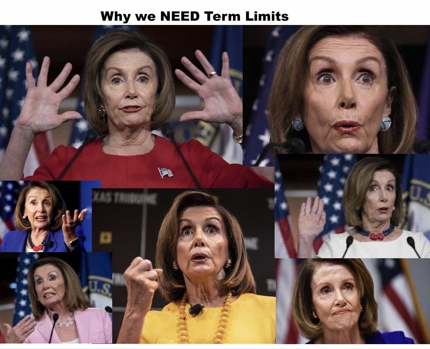 Term Limits: Nancy Pelosi Photo Collage - “Why We Need TERM LIMITS in Congress”