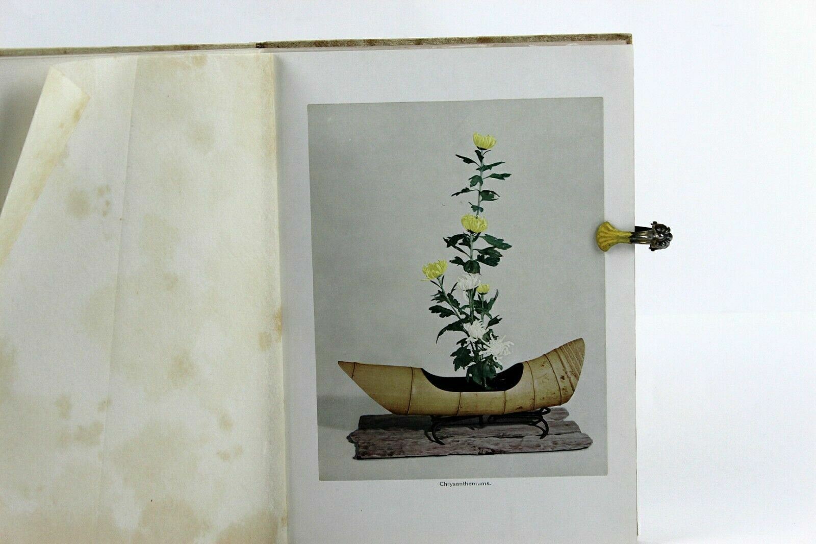 The Mastery Of Japanese Flower Arrangement by Koshu Tsujii Color & B/W Plates