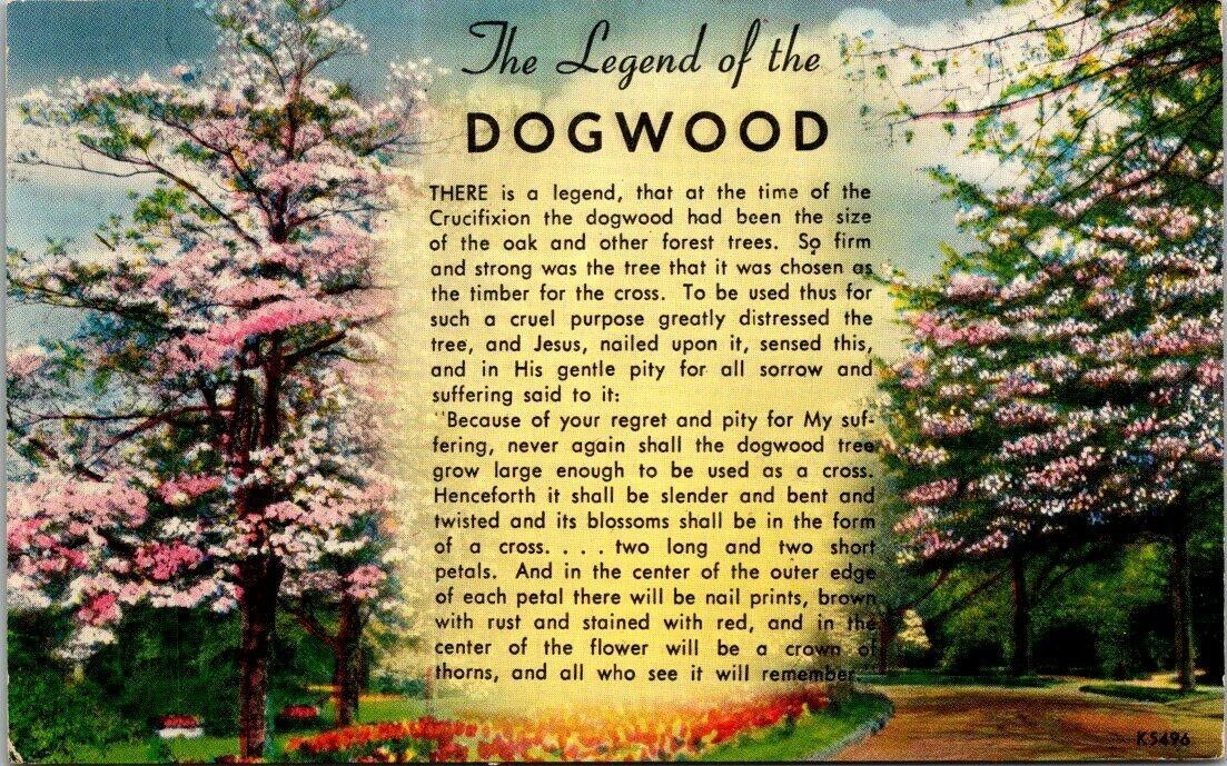 Vtg The Legend of the Dogwood Tree Flower Jesus Crucifixion Story Postcard