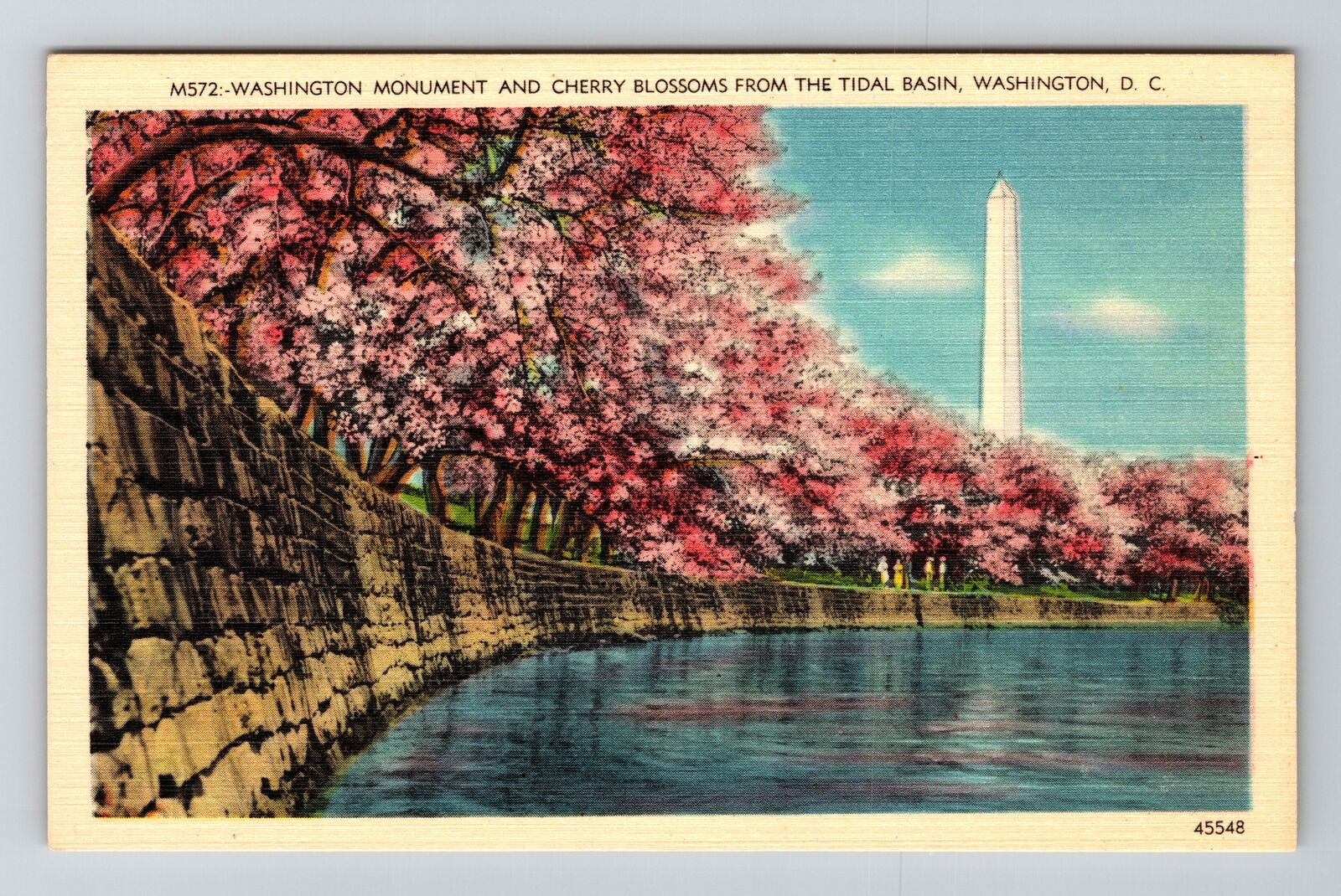 Washington D.C-Washington Monument & Cherry Blossoms, Vintage Postcard