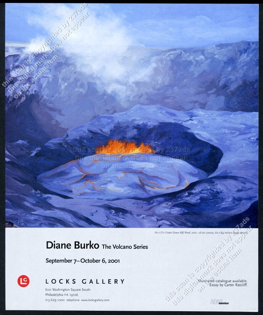 2001 Diane Burko Hawaii volcano lava painting PA gallery show vintage print ad