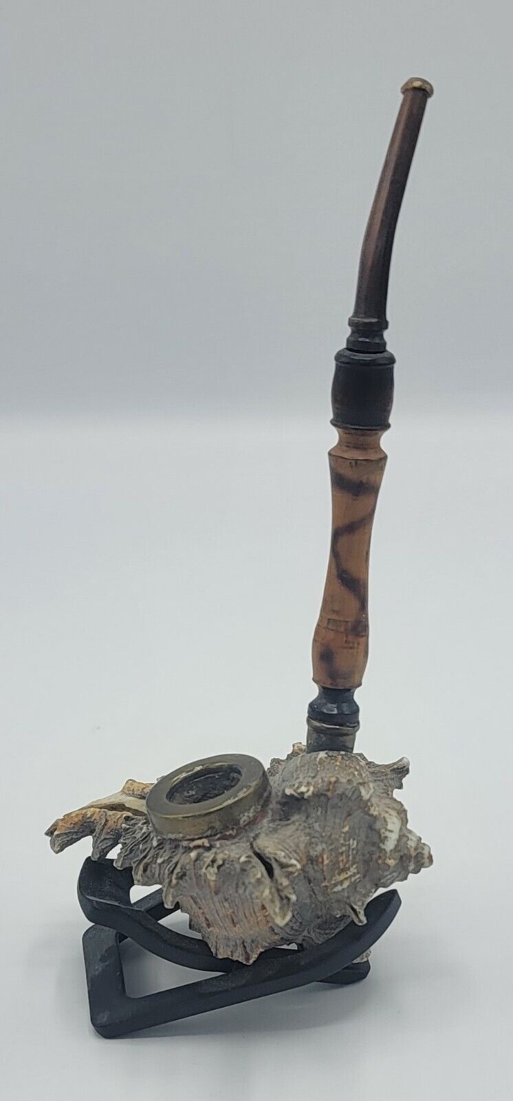 Extremely Old Sea Shell Pipe