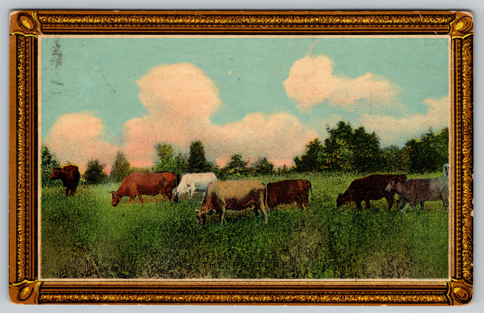 c1910s Cattle Cow Herd Art Farm Antique Postcard