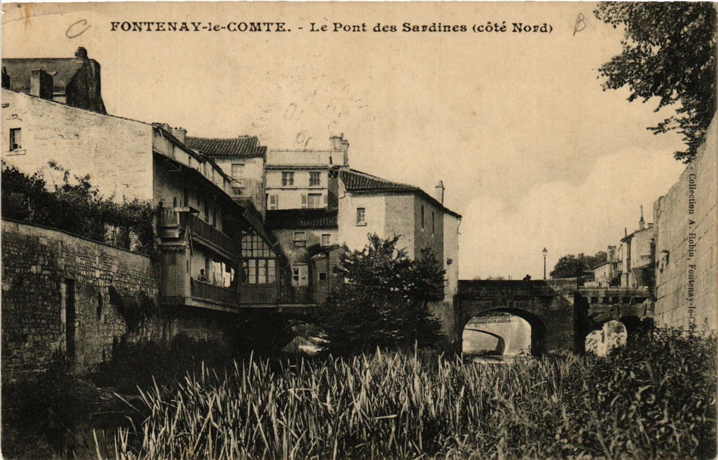CPA FONTENAY-le-COMTE - Le Pont des Sardines - North Side (637333)