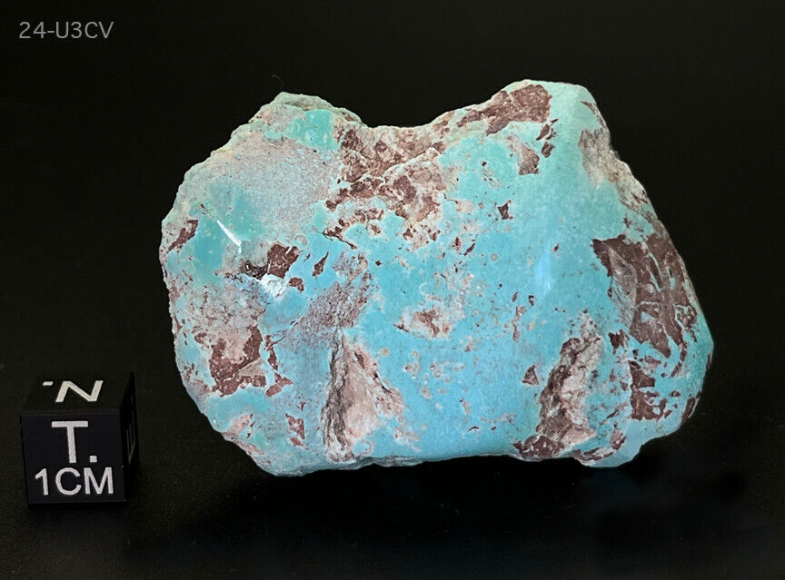 Bisbee Turquoise Nugget - Large 242ct. From Mine D7 - See Video - AZ Seller