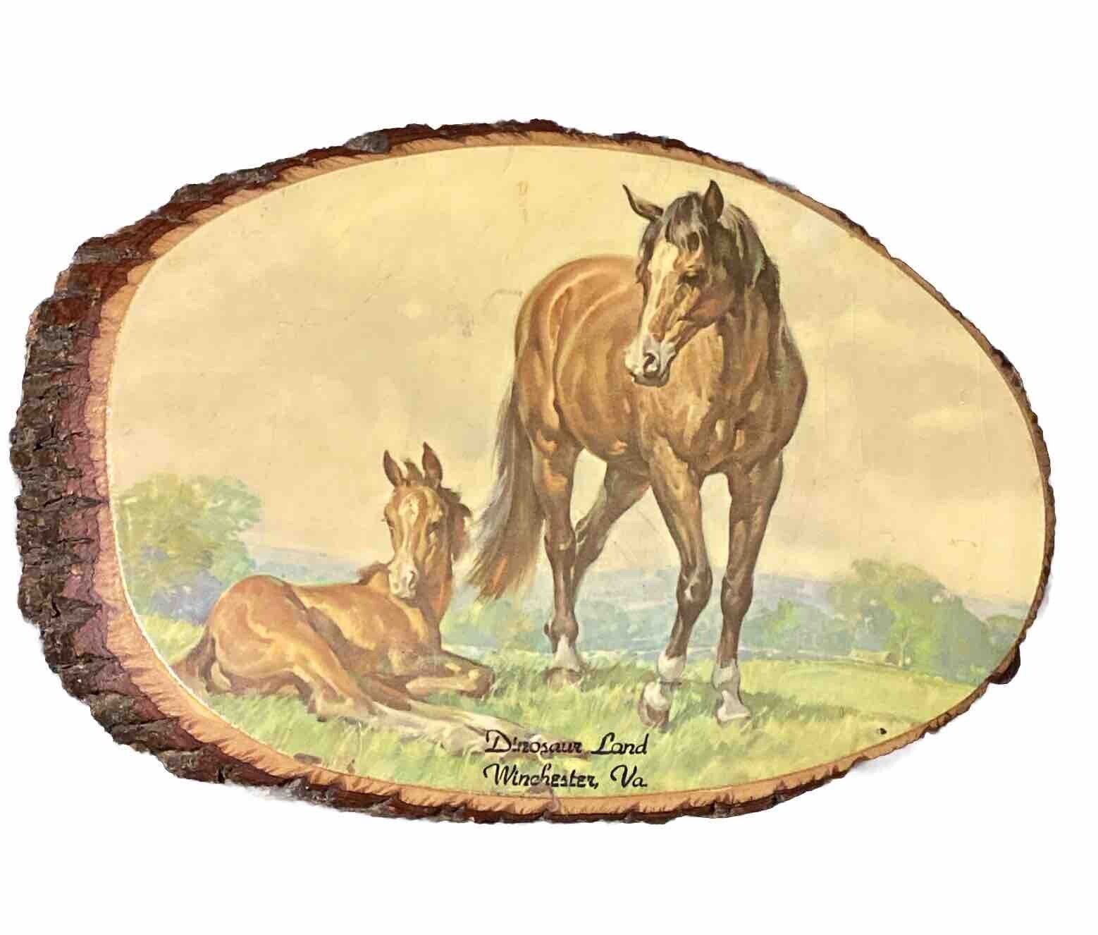 VINTAGE Horse Wall Art Tree Trunk Decor Stump Plaque - Dinosaur Land VA 12 x 8”