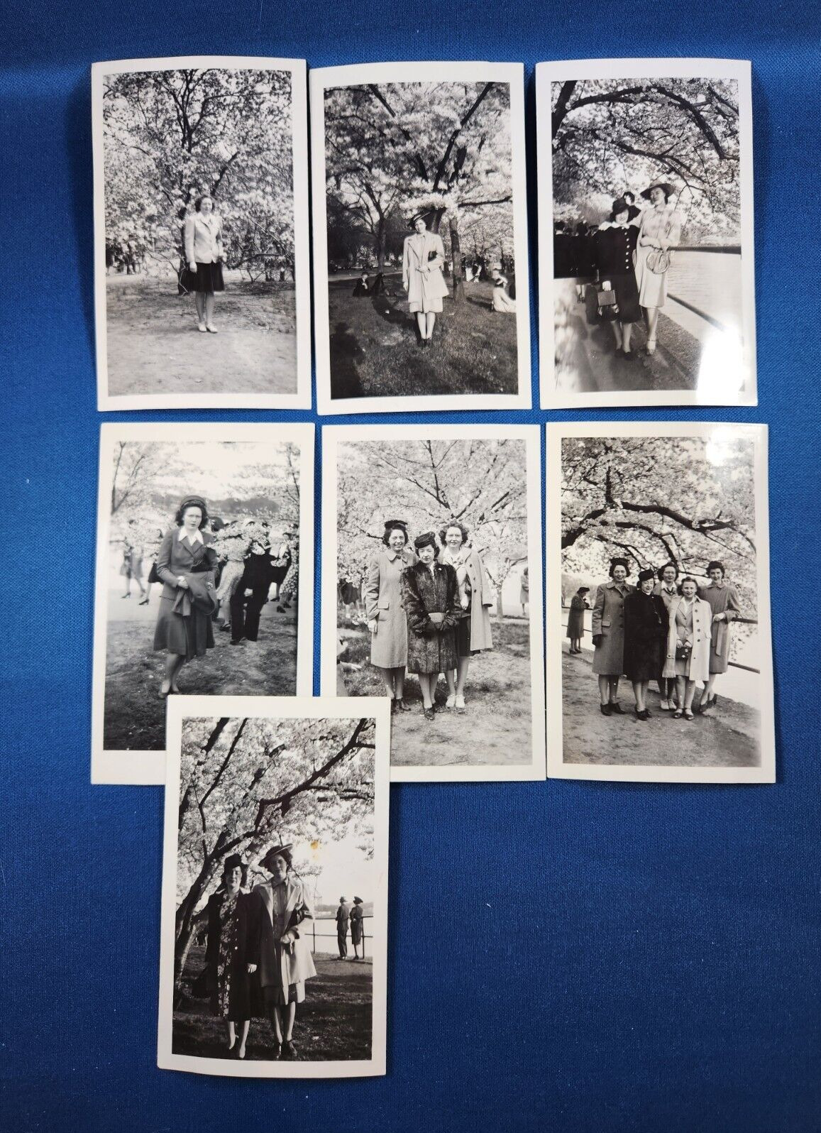 7 Vintage 1943 Cherry Blossoms Women Coats Hats Washington DC Black White Photo