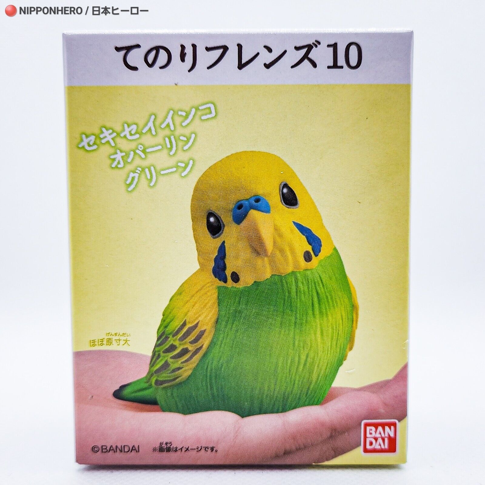 Tenori Friends BUDGERIGAR OPALINE GREEN Budgie Parakeet Bird Figure 10 Animal JP