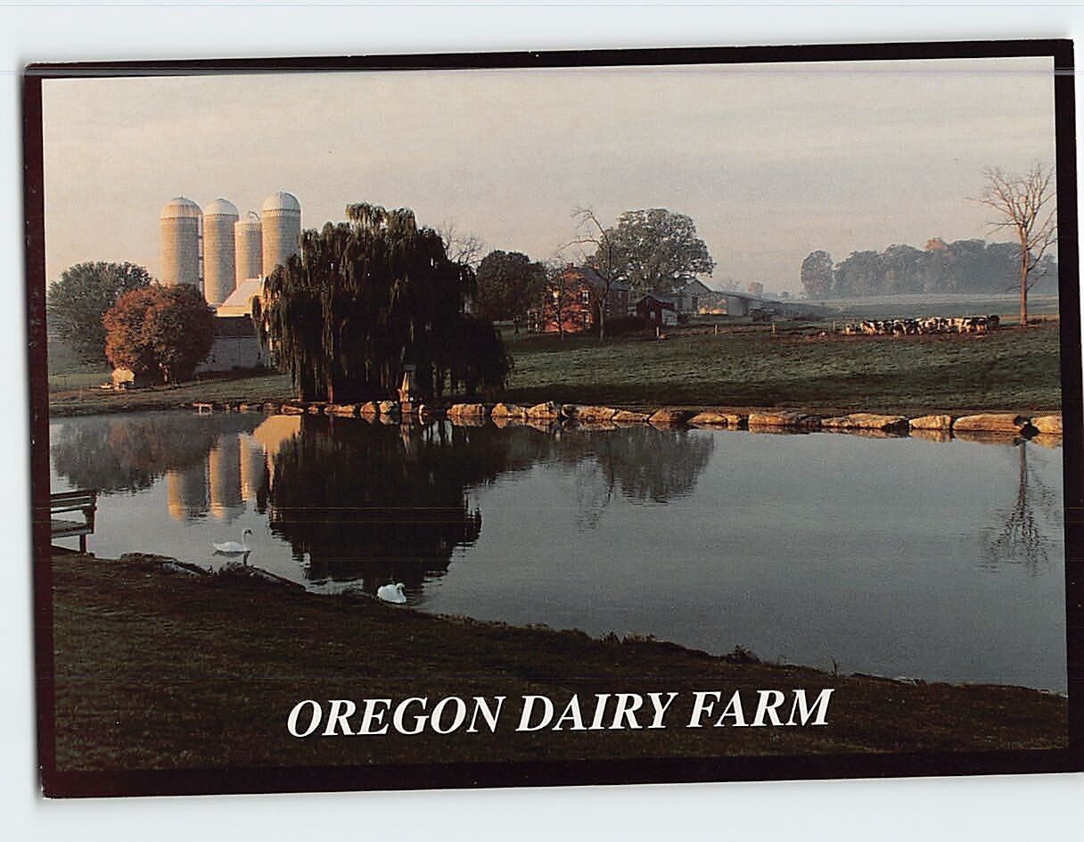 Postcard Oregon Dairy Farm Lititz Pennsylvania USA