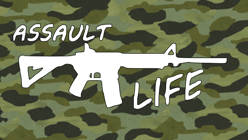 Assault Life M16 Ar15 Car Truck Sticker Window Decal 2nd Funny NRA Gun