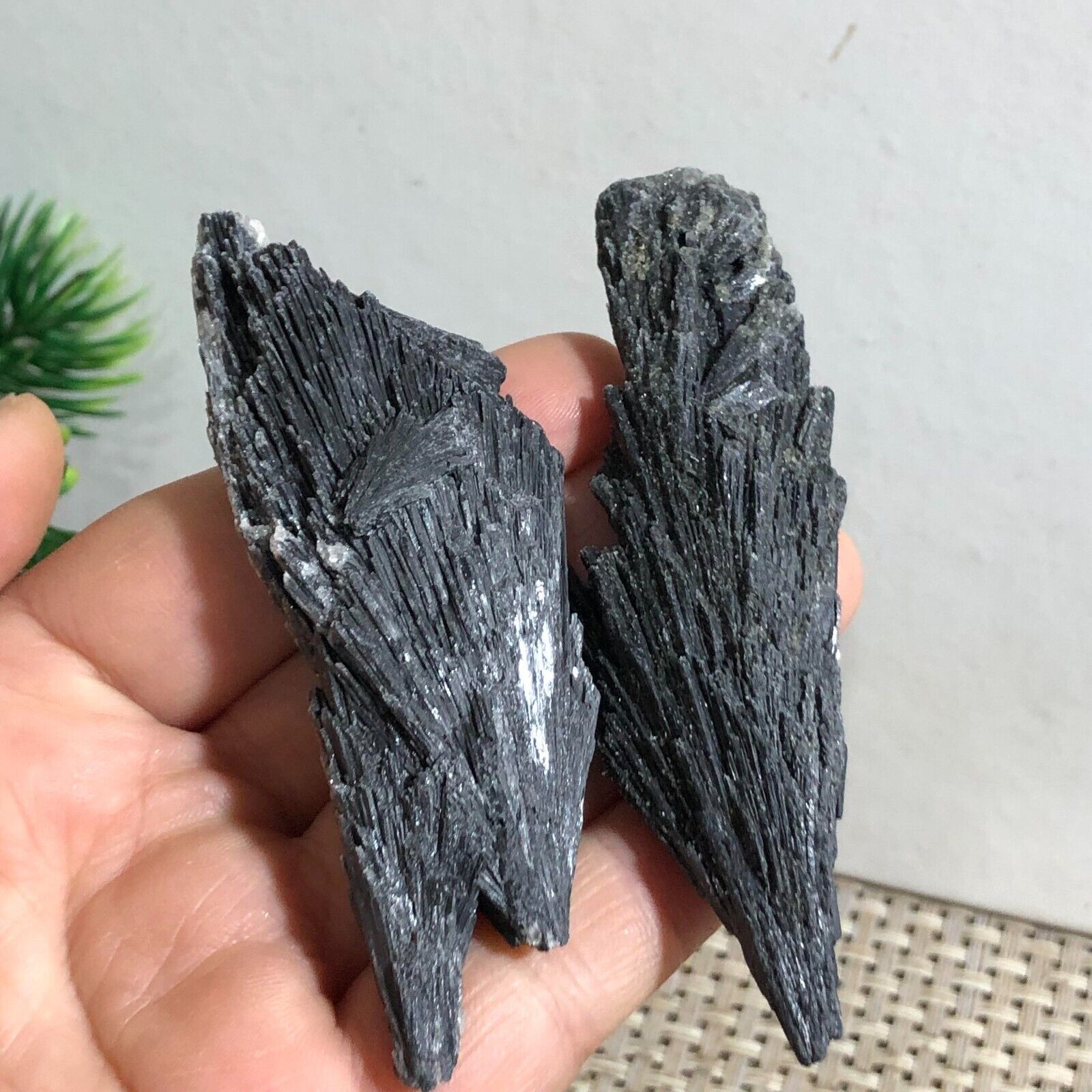 2pcs Natural Black Tourmaline Quartz Cluster Crystal Mineral specimen 68g d073