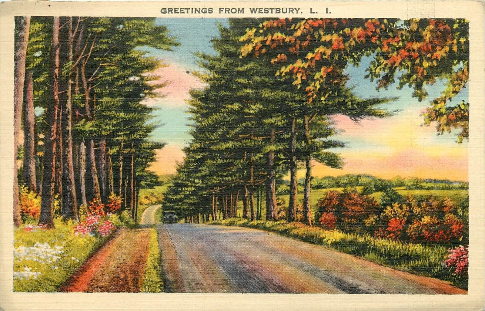 1939 Westbury Long Island New York Vintage RPPC Color Postcard Road & Tree View