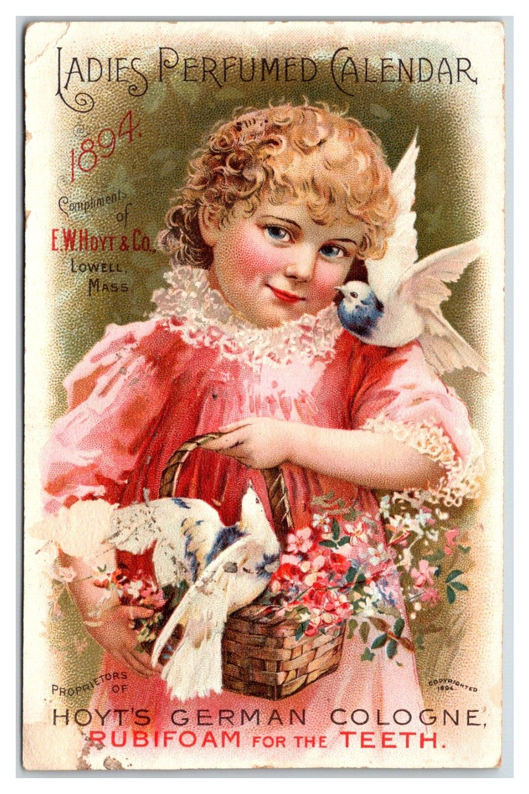 GORGEOUS 1894 Calendar Trade Card  HOYT\'S German Cologne - Bloods depot Dealer