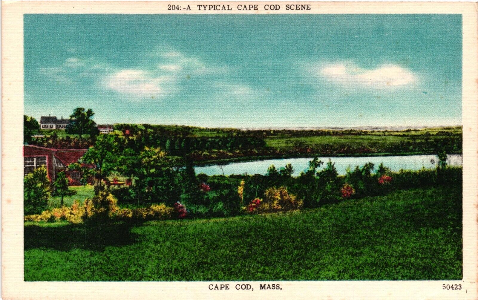 Cape Cod Massachusetts Mass Vintage Postcard Linen C1930 Unposted