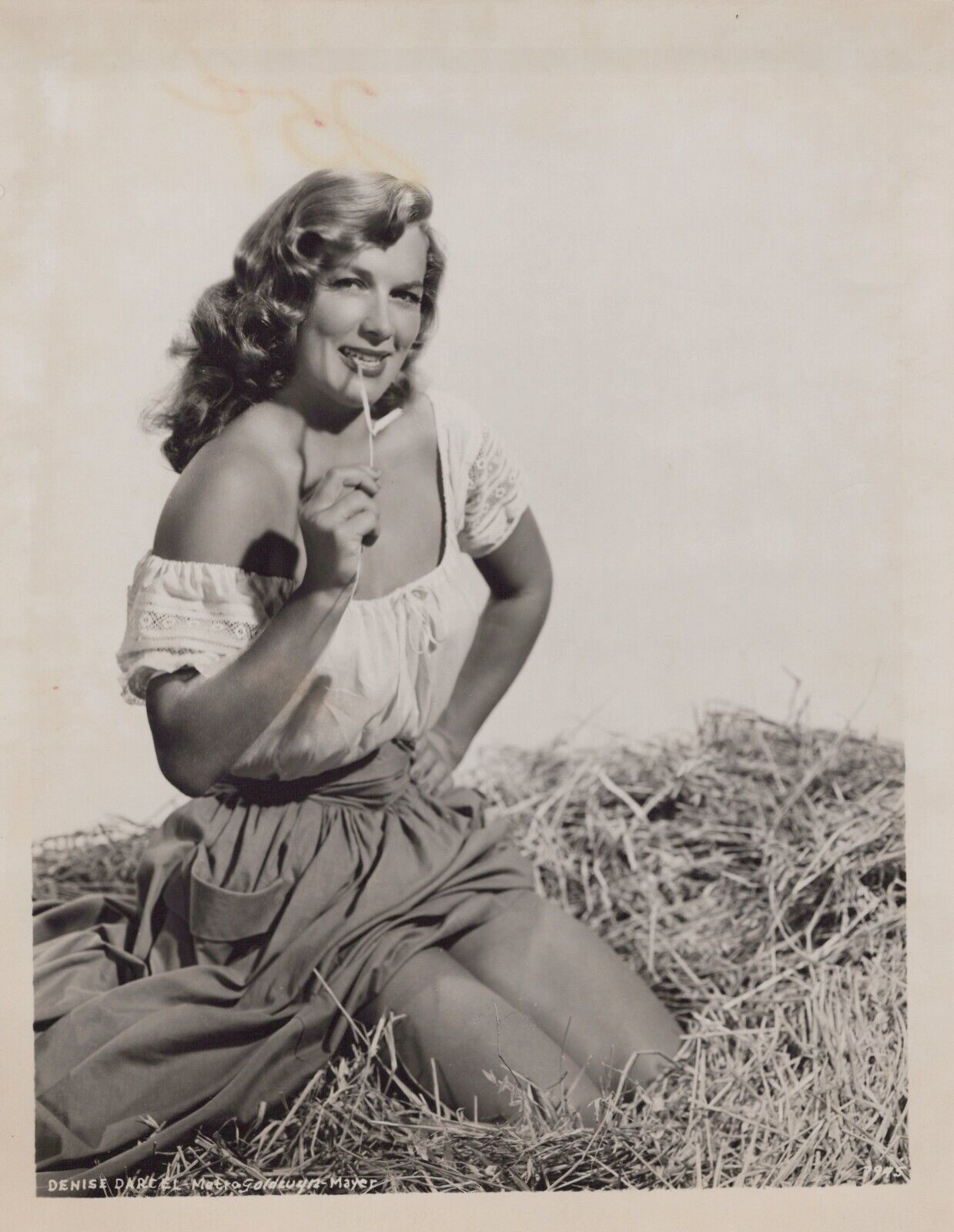 Denise Darcel (1950s) 🎬⭐ Original Vintage - Sexy Bare Shoulder MGM Photo K 344
