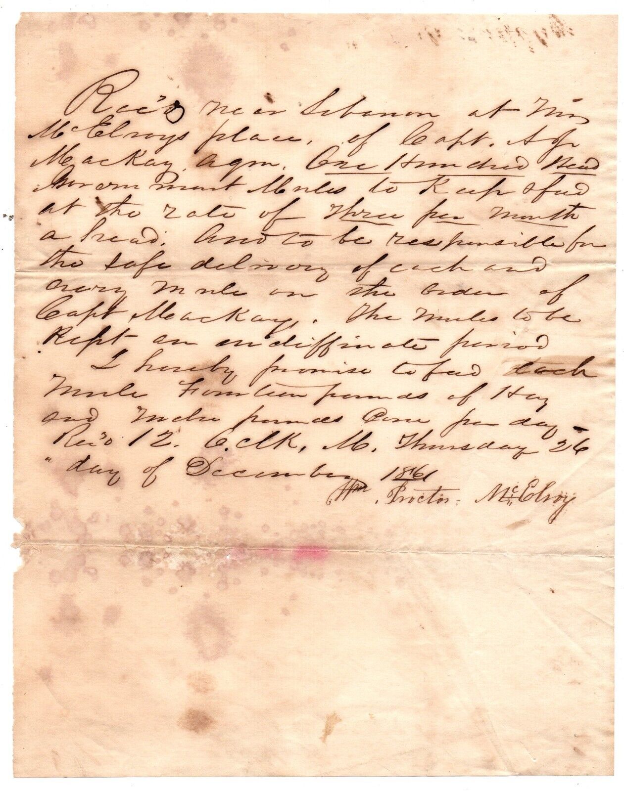 Civil War Doc. 1861 William Proctor McElroy Lebanon Kentucky, 100 Head Mules