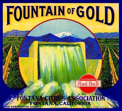 Fontana San Bernardino Fountain of Gold Orange Citrus Fruit Crate Label Print