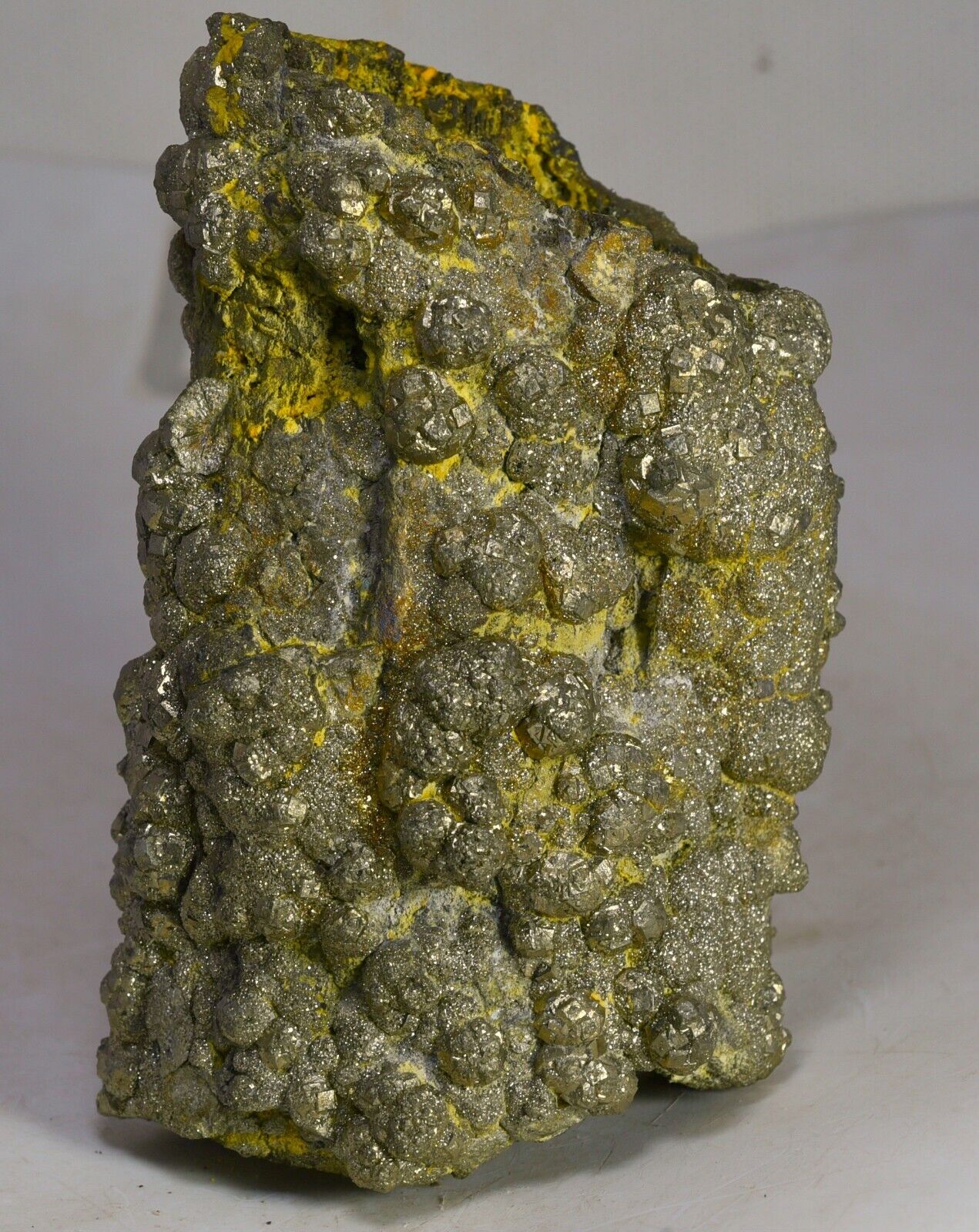 1082GM New Find Natural Goldan MARCASITE-PYRITE Crystals Bunch Specimen Pakistan