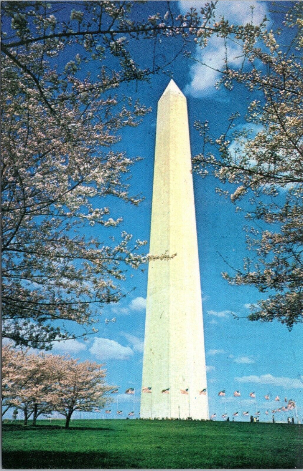 postcard - Washington Monument 