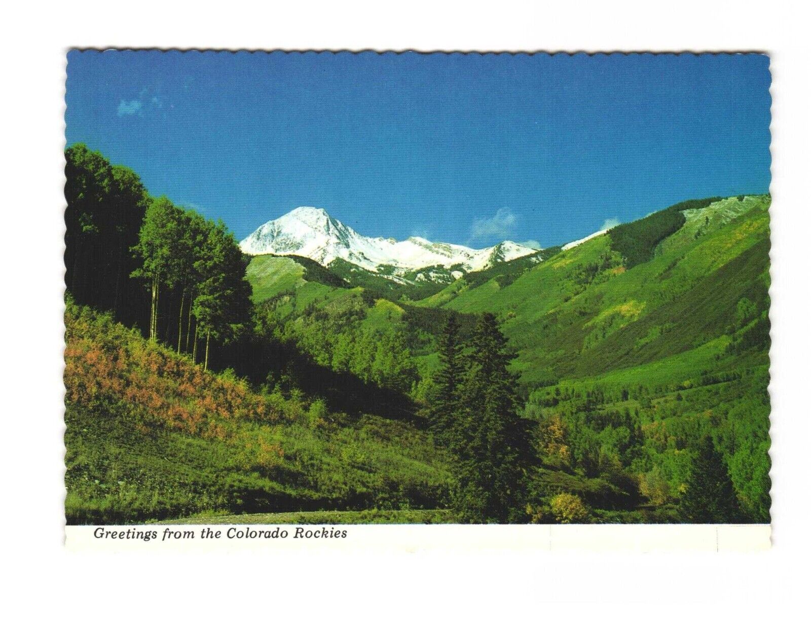 Greetings from the Colorado Rockies A view of Pristine Beauty Postcard Unposted