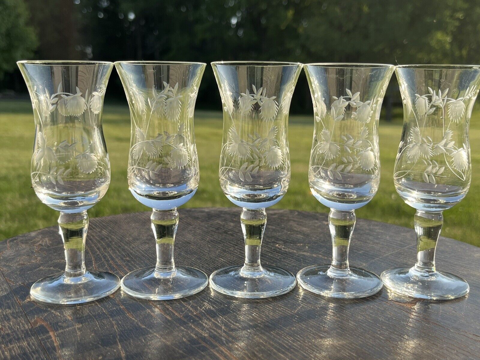 5 Vintage Floral Etched Stemmed Glassware Sherry Cordial Clear Glasses