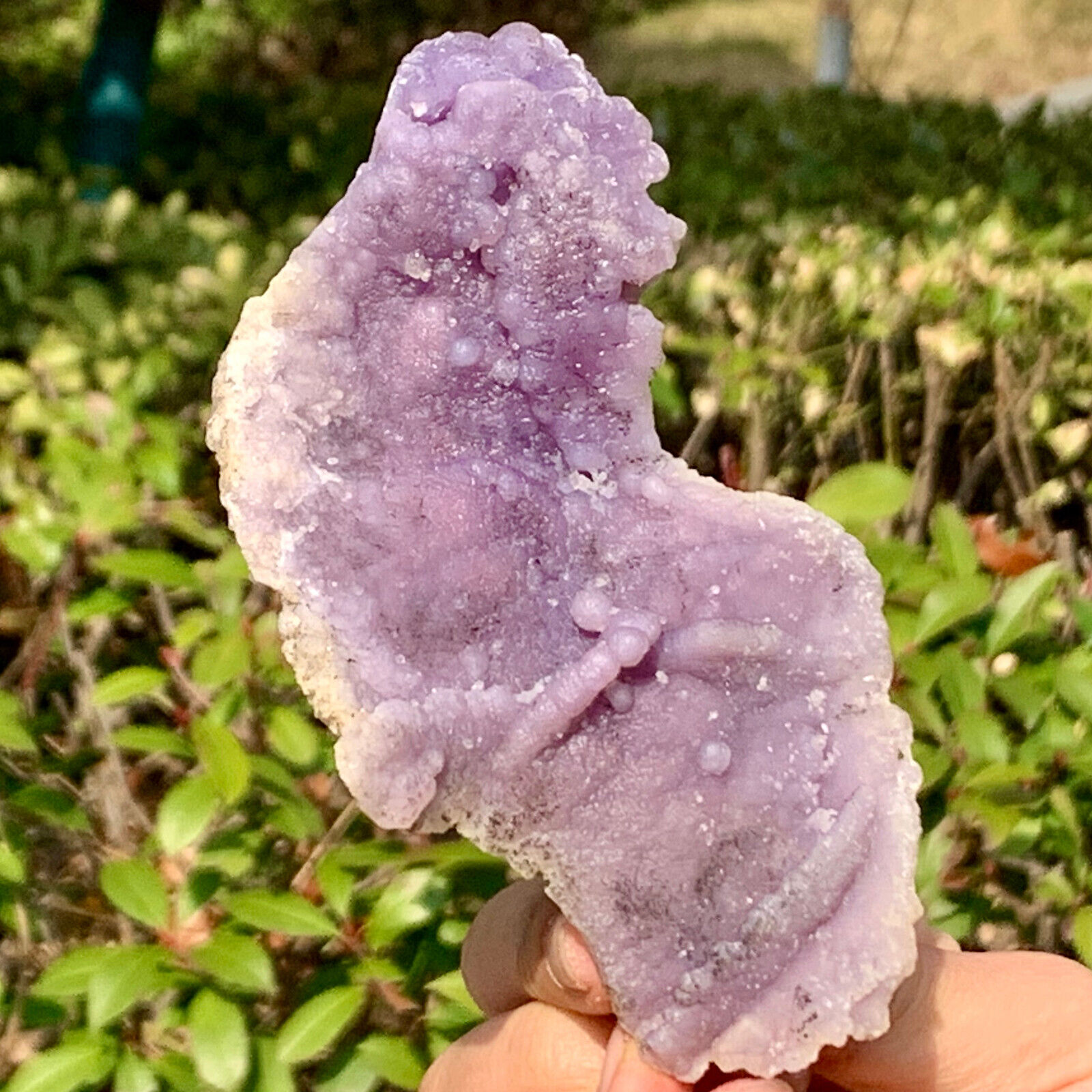 124G Beautiful Natural Purple Grape Agate Chalcedony Crystal Mineral Specimen