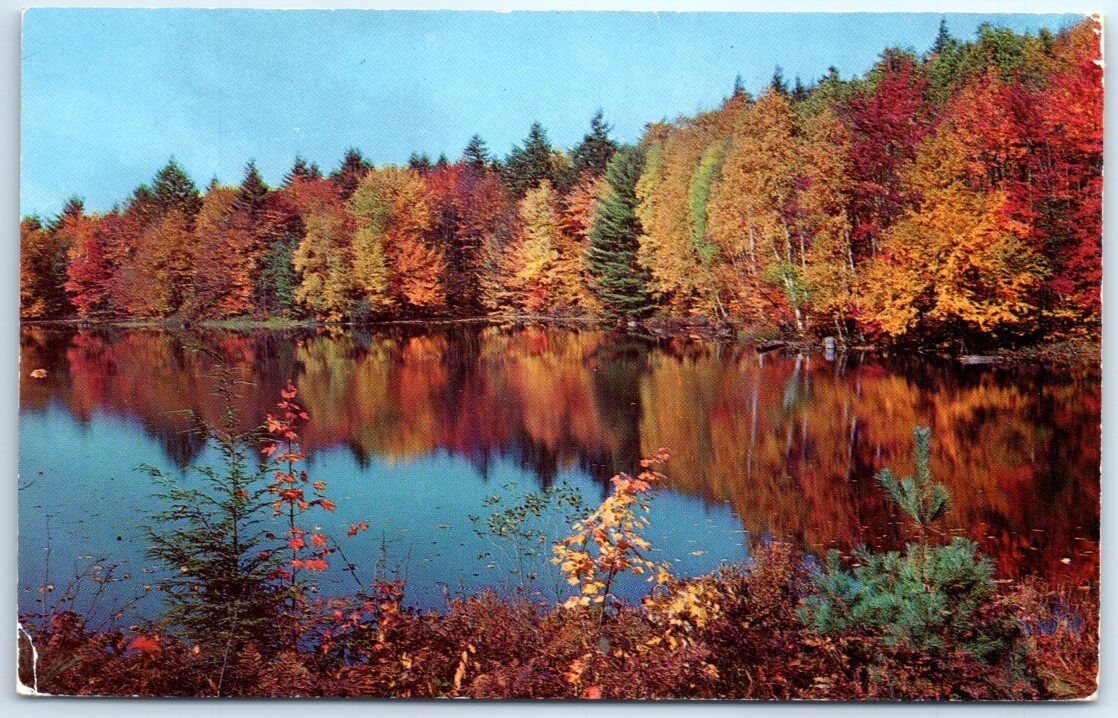 Postcard - Greetings from Mohican Lake, Glen Spey, New York