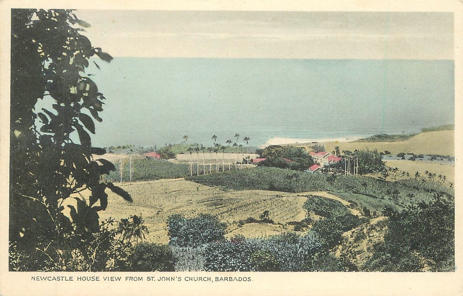PostcardC-1910 Barbados Caribbean Parkinson New Castle House 23-7888
