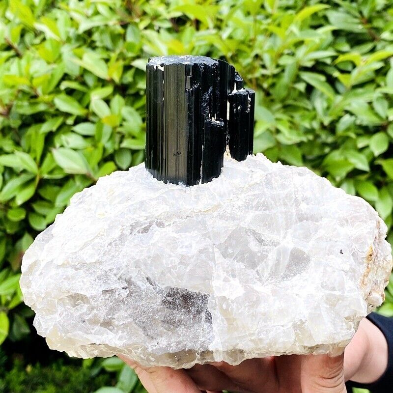 4.67LB Natural black tourmaline and quartzite symbiotic mineral specimen