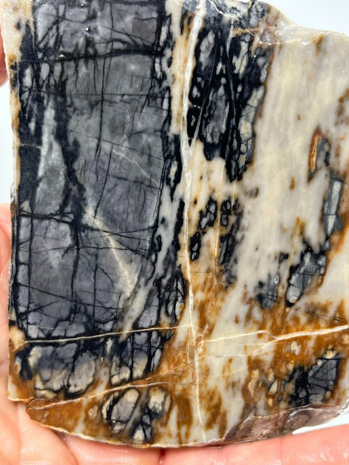 Picasso Marble (Jasper) Rough Slab Cabbing Lapidary Reiki Chakra Utah