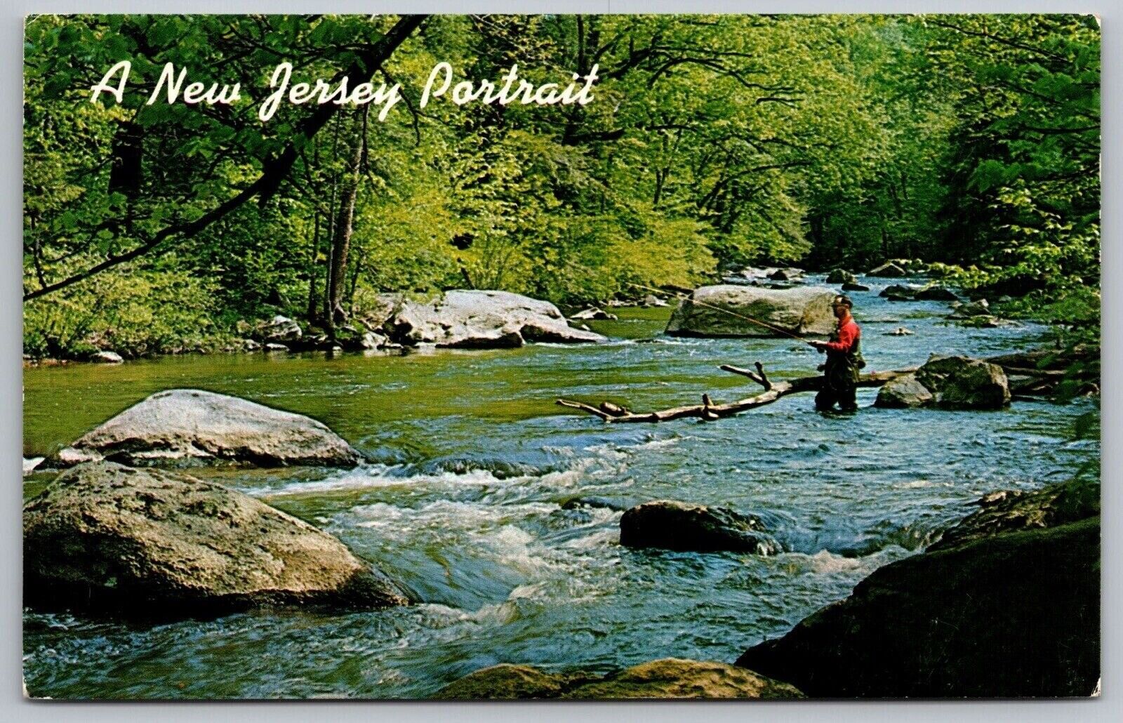 New Jersey Portrait Fisherman Fishing Raritan River Hunterdon County Postcard