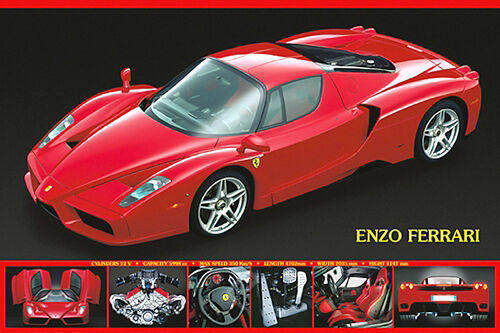 Ferrari ENZO (2002) Autophile Profile Cool Sports Car 24x36 Wall POSTER