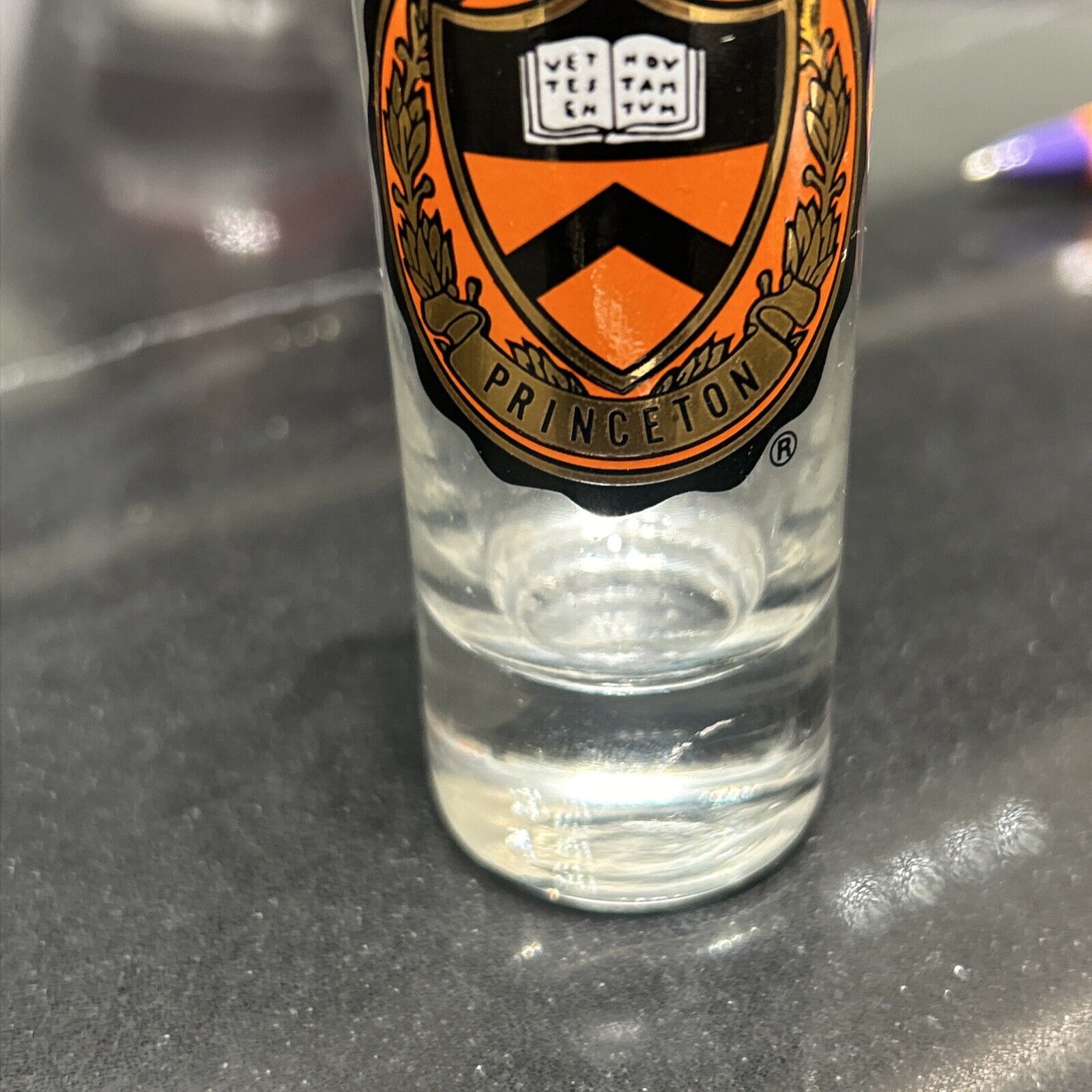 Princeton University Crest Shot Glass Gold Rimmed Tall 