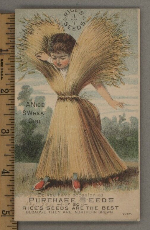 Anthropomorphic Rice\'s Seeds Victorian Trade Card A SWheat Girl Cambridge NY