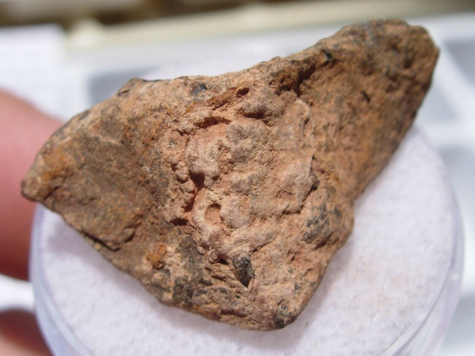 9.22 grams as found Canyon Diablo Meteor Crater Iron Meteorite from Arizona