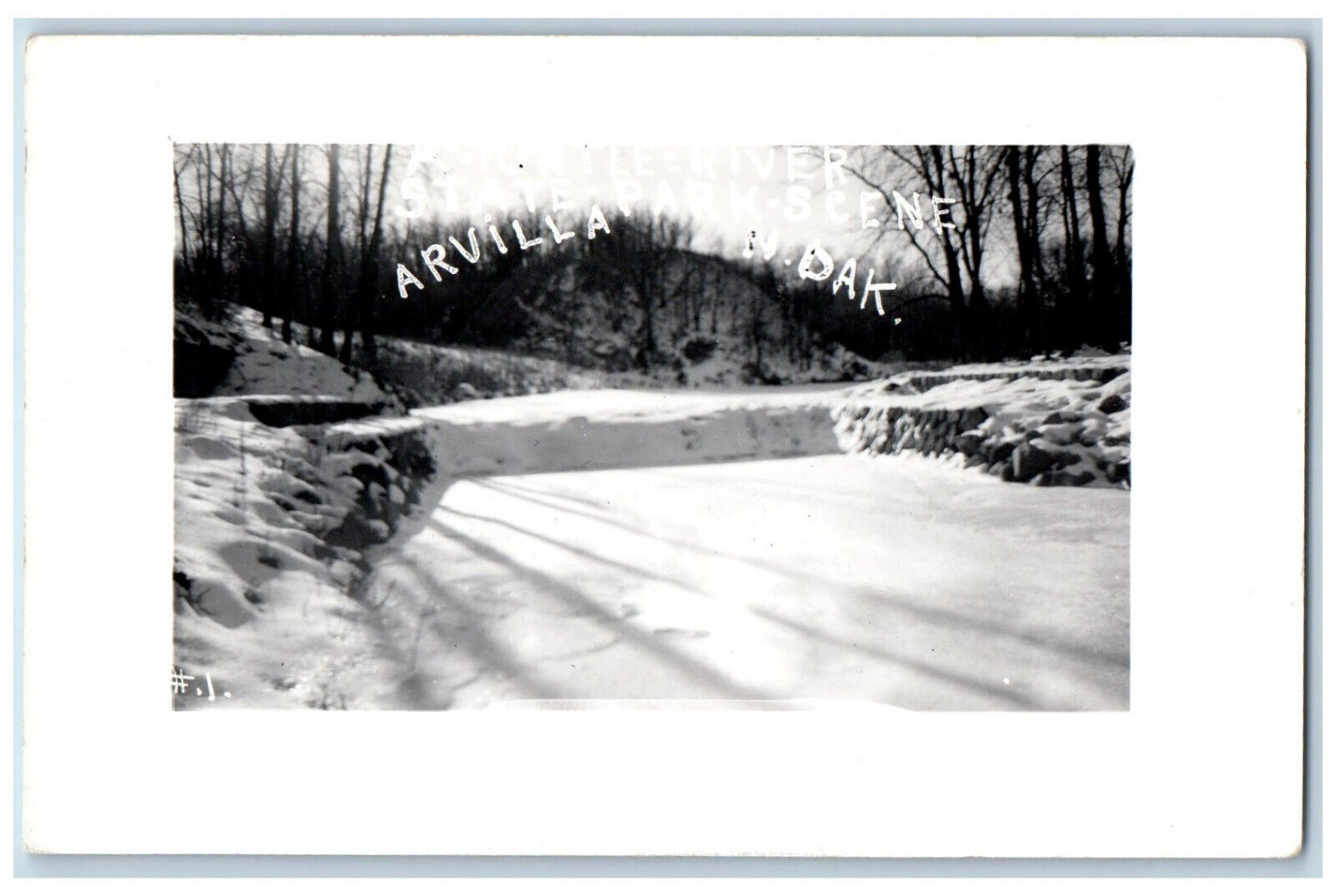 Arvilla North Dakota ND Postcard State Park Scene c1910 RPPC Photo Antique