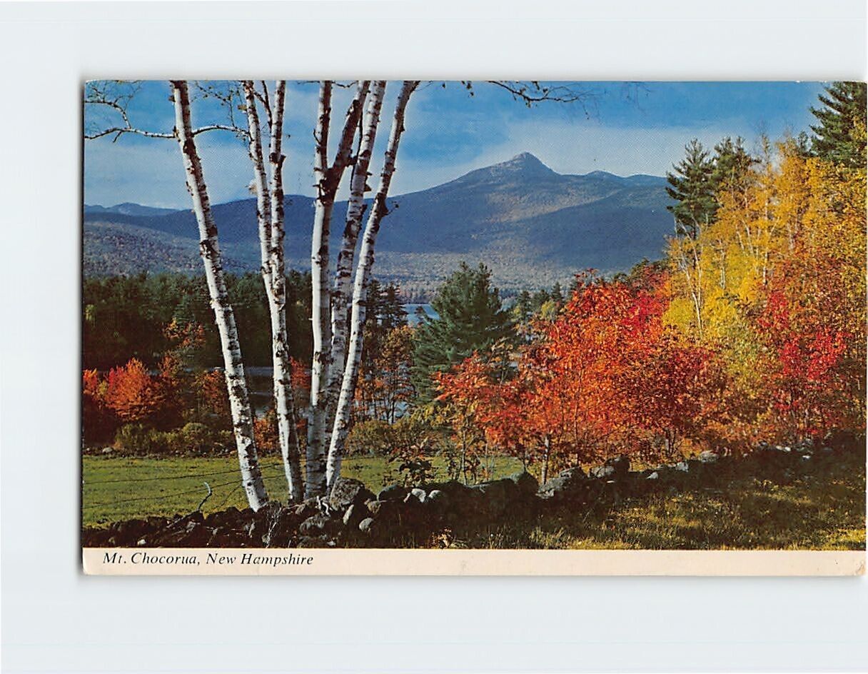 Postcard Mt. Chocorua, New Hampshire