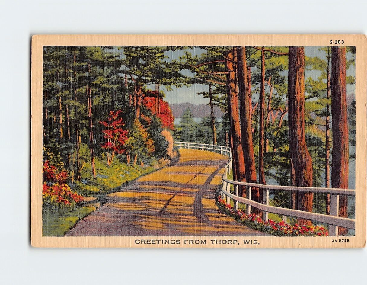 Postcard Greetings from Thorp Wisconsin USA North America Landscape Scene