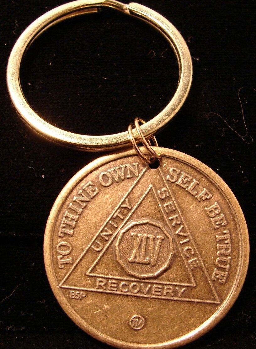 Alcoholics Anonymous AA 45 Year NEW Bronze Keychain  Medallion Token Coin Chip 