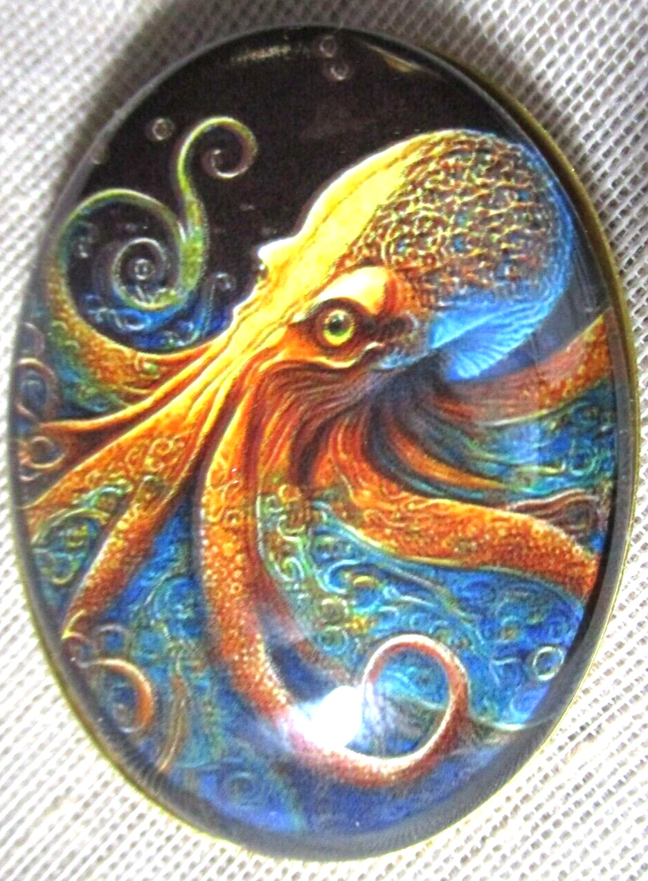 XL GLASS DOME PIC BUTTON - COLORFUL OCTOPUS  #2 IN DEEP WATER  - 1-1/2