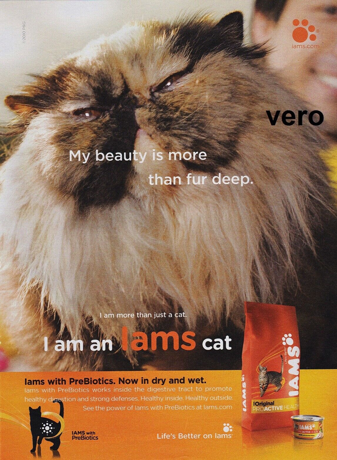 IAMS cat food ad vtg 2010 magazine print clipping PERSIAN Breed BEAUTY FUR DEEP