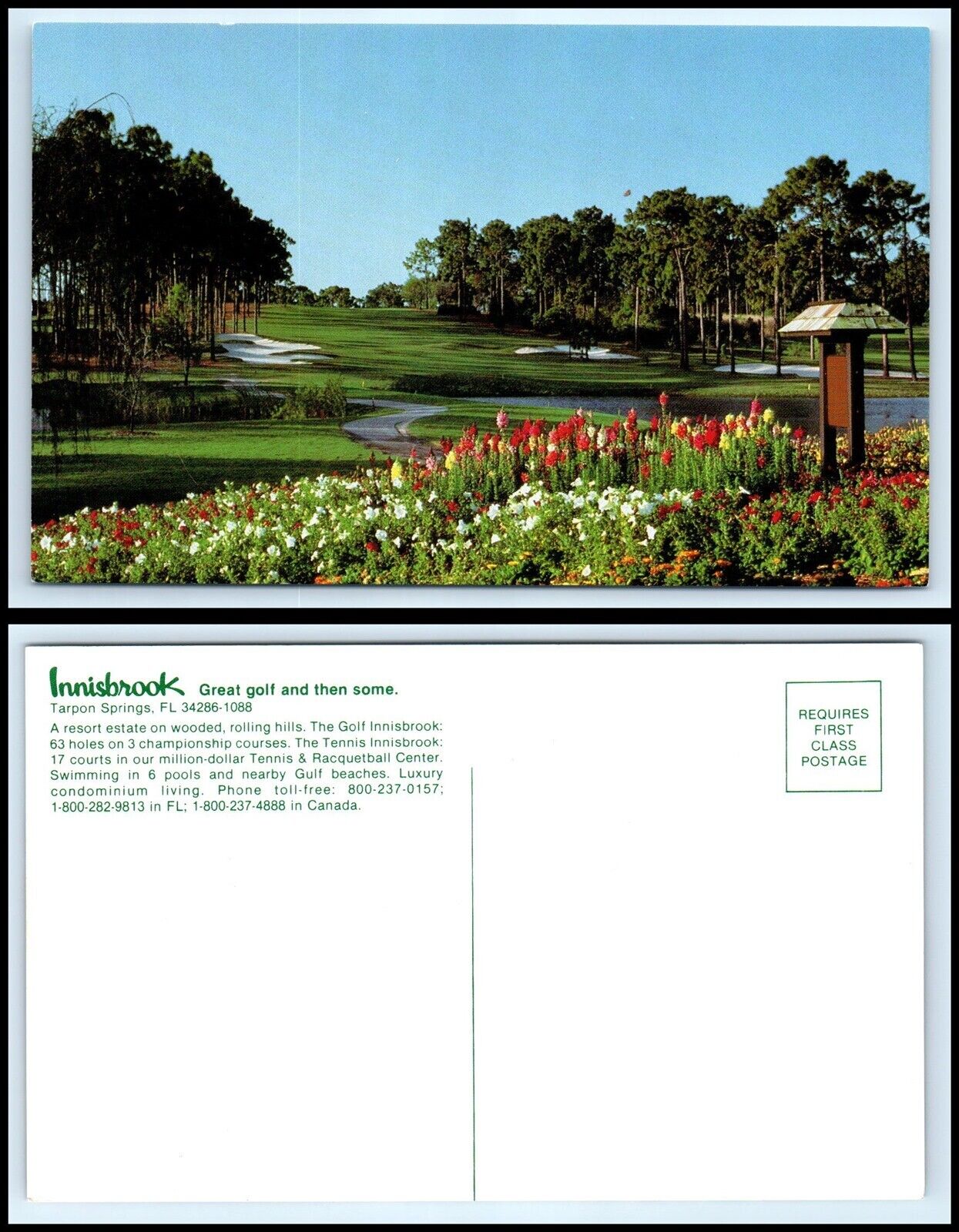 FLORIDA Postcard - Tarpon Springs, Innisbrook Resort Estate O40