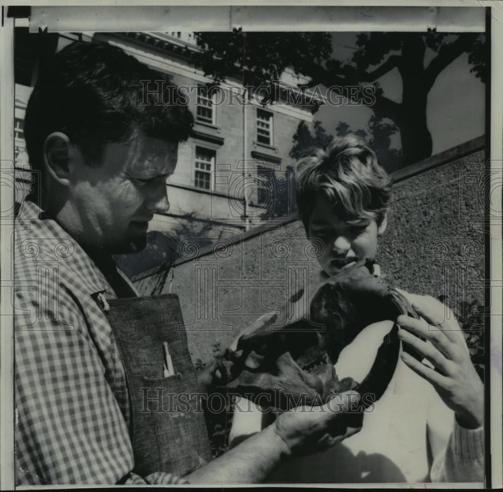 1968 Press Photo Zoologist John Dallman & Pat Meyer with Foot Skull of a Beaver