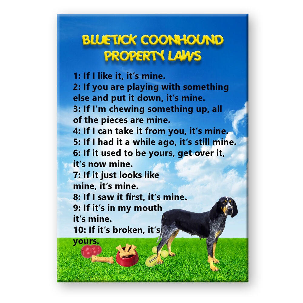 BLUETICK COONHOUND Property Laws FRIDGE MAGNET Dog