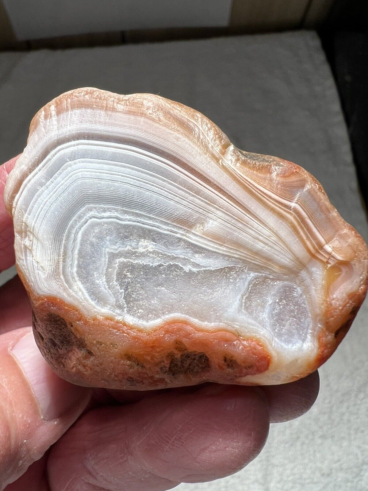 4.23oz  Lake Superior Agate with Stunning Sunbleached High Contrast Banding