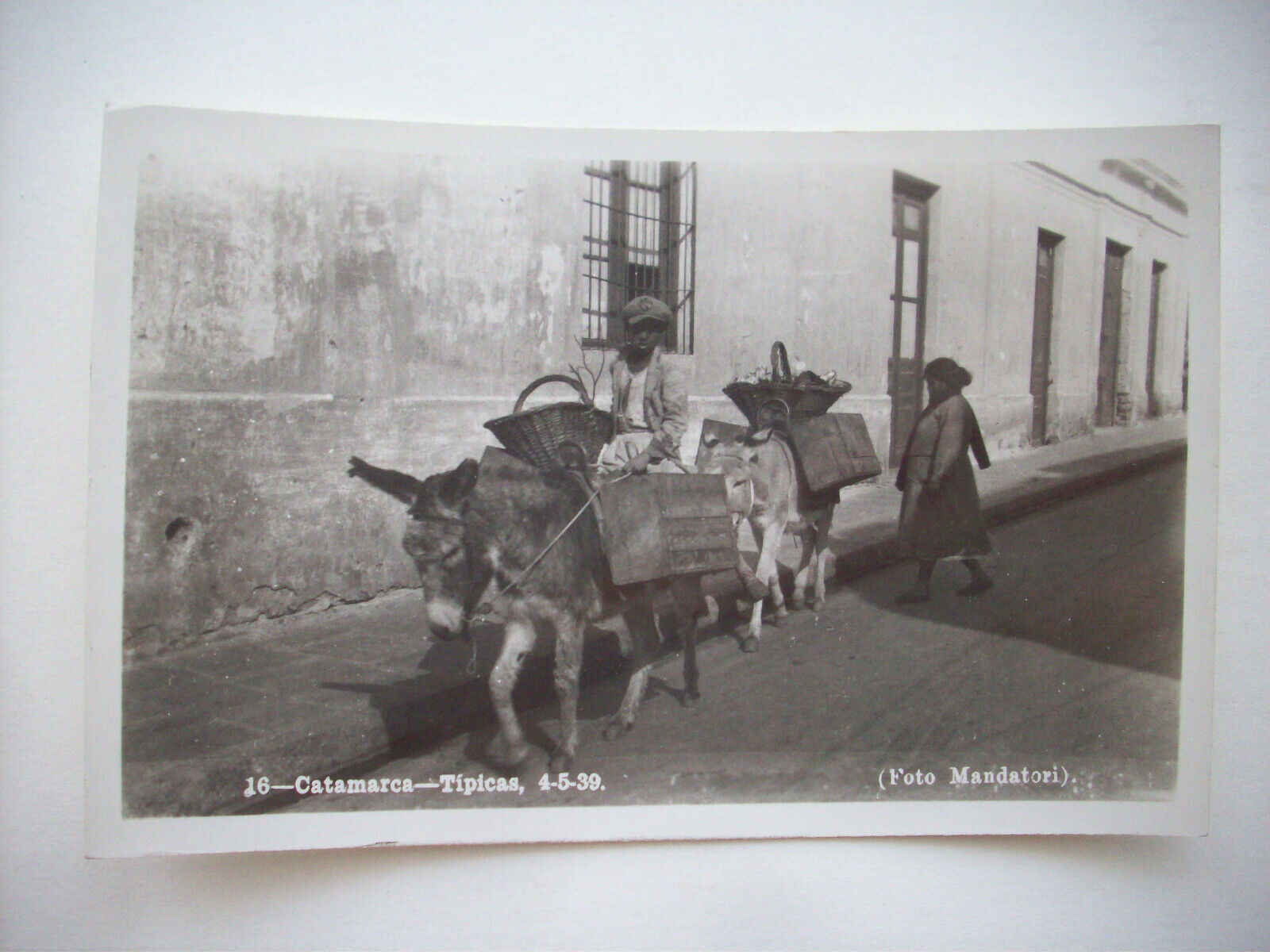 NATIVES WITH MULES - CATAMARCA-TIPICAS PHOTO